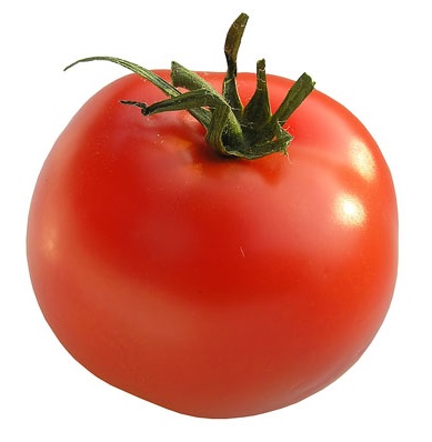 Tomato